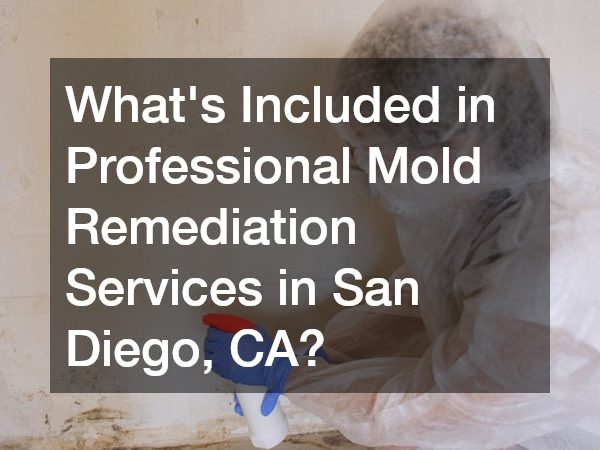 Whats Included in Professional Mold Remediation Services in San Diego, CA?