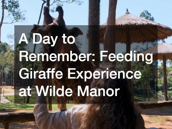 A Day to Remember Feeding Giraffe Experience at Wilde Manor