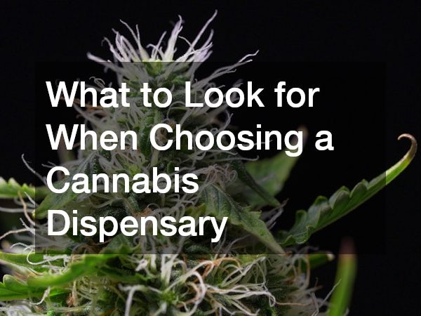 What to Look for When Choosing a Cannabis Dispensary
