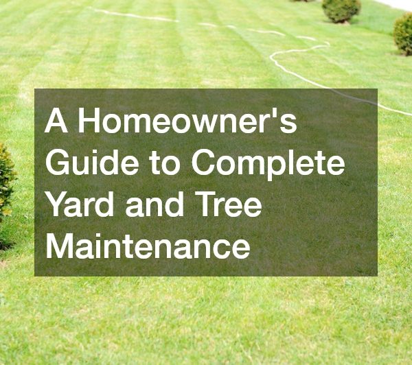 A Homeowners Guide to Complete Yard and Tree Maintenance