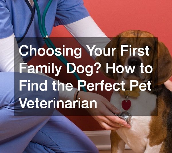 Choosing Your First Family Dog? How to Find the Perfect Pet Veterinarian