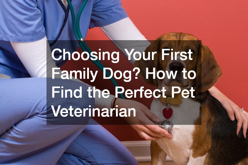 Choosing Your First Family Dog? How to Find the Perfect Pet Veterinarian