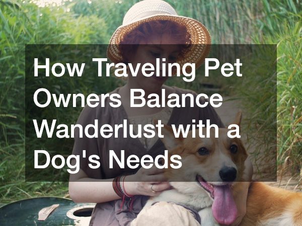 How Traveling Pet Owners Balance Wanderlust with a Dog’s Needs