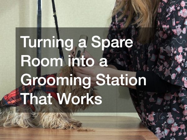Turning a Spare Room into a Grooming Station That Works