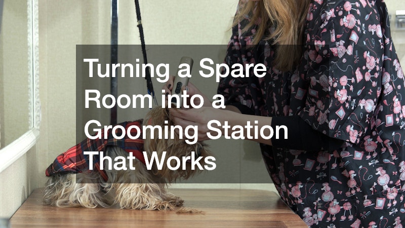 Turning a Spare Room into a Grooming Station That Works